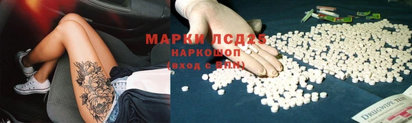 амф Кукмор