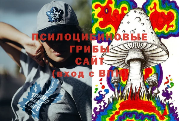 сатива Кулебаки