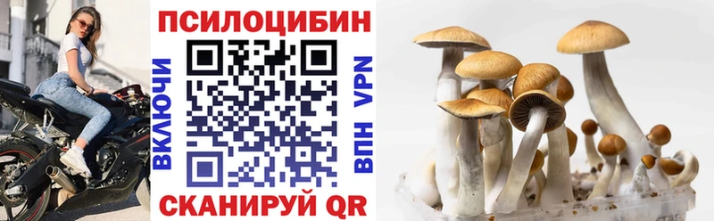 как найти закладки  Алапаевск  Галлюциногенные грибы мицелий 